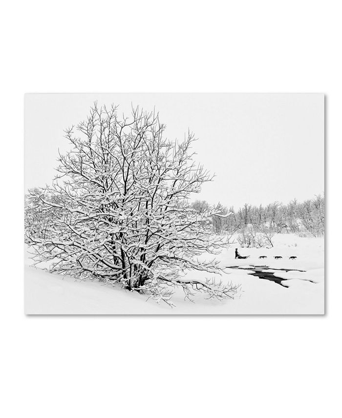 Trademark Global Hugh Evans 'Snowscape' Canvas Art - 18
