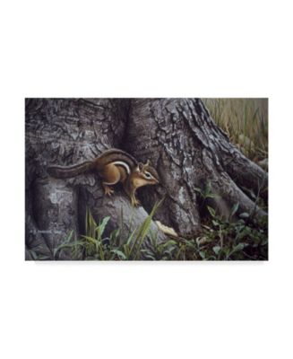 Trademark Global Ron Parker 'Wary Glance' Canvas Art - 22