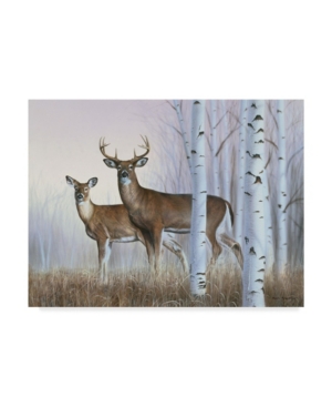 Trademark Global Rusty Frentner 'deer In Birch Woods' Canvas Art In Multi