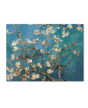 Trademark Global Vincent Van Gogh 'almond Blossoms' Canvas Art In Multi