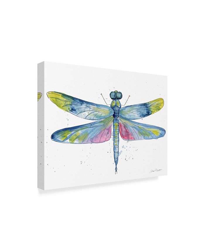 Trademark Global Jean Plout 'Dragonfly Bliss 6' Canvas Art - 24