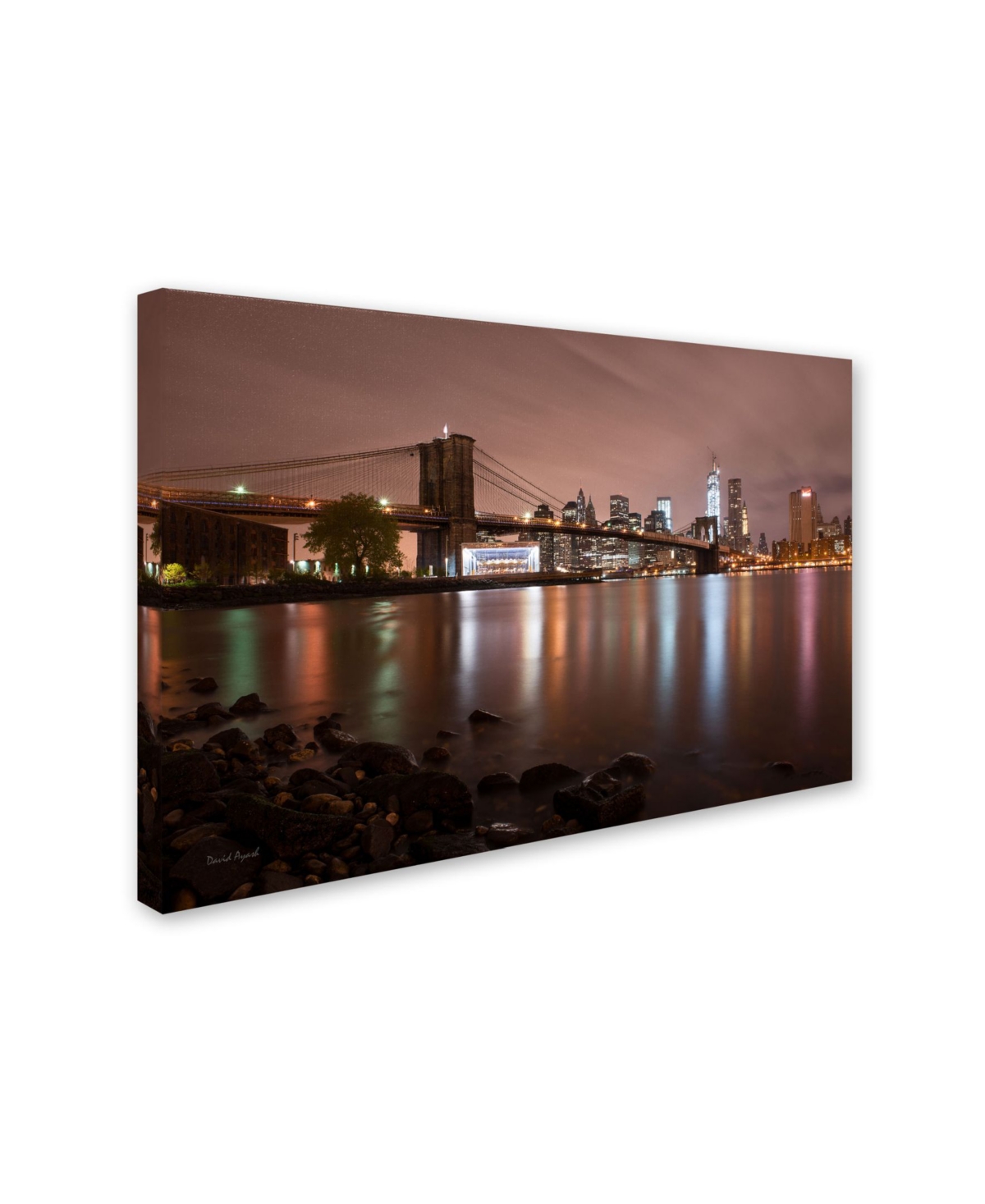 David Ayash 'Jane's Carousel, Brooklyn Bridge-Color' Canvas Art -