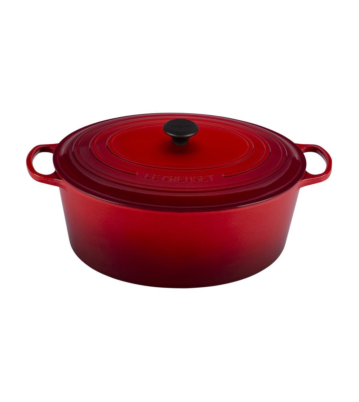 Le Creuset 15.5 Quart Enameled Cast Iron Oval Dutch Oven