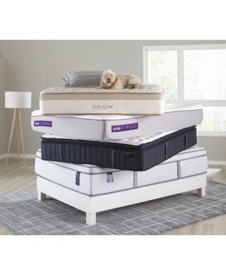 Saatva Loom & Leaf 12" Relaxed Firm Mattress Set- Queen