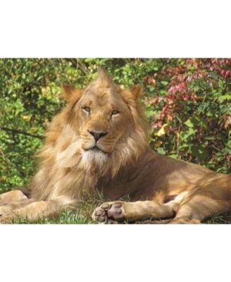 Springbok Lions Of The Sea 100 Piece Jigsaw Puzzle - Made In USA Kids Puzzle
