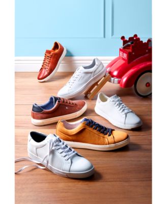 tommy hilfiger low top shoes