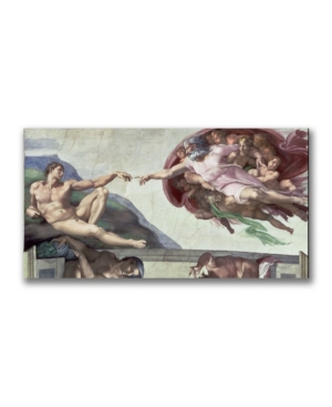 Trademark Global Michelangelo 'sistine Chapel Ceiling' Canvas Art In Multi