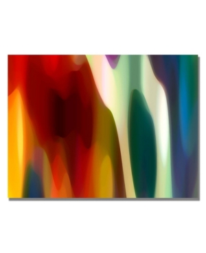Trademark Global Amy Vangsgard 'color Fury Iii' Canvas Art In Multi