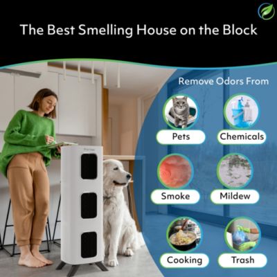 iAdaptAir 2.0 Large – 3,975 Sq Ft Coverage, 5-in-1 Purification, With 530 CFM