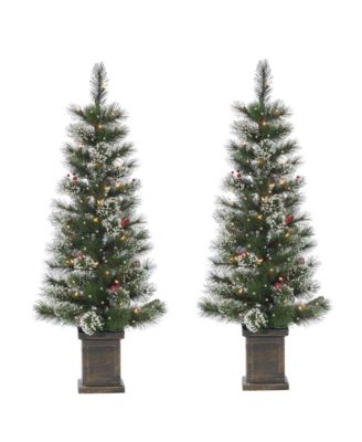 Sterling - 4Ft Potted Hard Mixed Needle Loveland Spruce with Iced Tips, Pine Cones, Red Berries and 50 Clear White Lights (Set of 2)