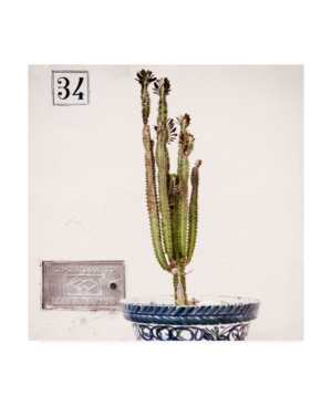 Philippe Hugonnard Made in Spain 3 Spanish Terracotta Pot & Castus Ii Canvas Art - 155