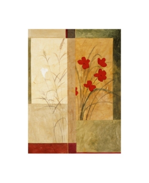 Trademark Global Pablo Esteban Red And White Flowers On Sage Canvas Art In Multi