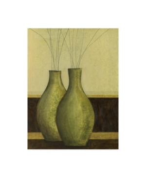 Trademark Global Pablo Esteban Two Vases In Green Canvas Art In Multi