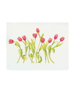 Trademark Global Deborah Kopka Nine Tulips Twirling Canvas Art In Multi