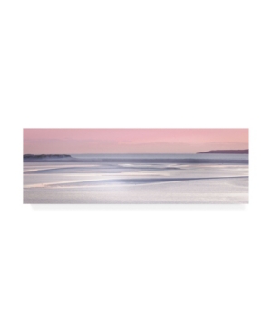 Trademark Global Lynne Dougla Silver Sands Canvas Art In Multi