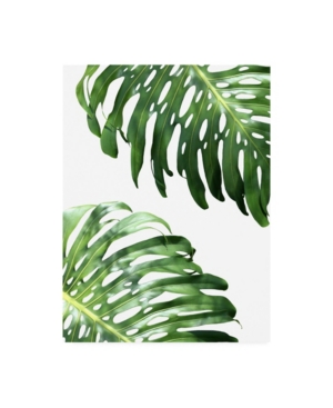 Trademark Global Lexie Gree Double Philodendron (color) Canvas Art In Multi