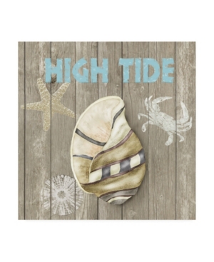 Trademark Global Jade Reynolds High Tide Shoreline I Canvas Art In Multi