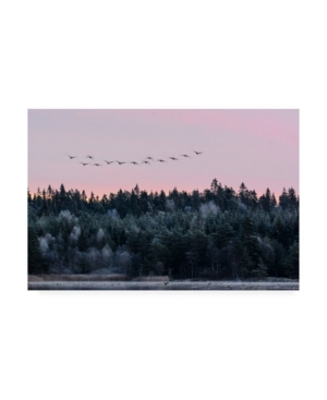 Bjorn Emanuelson Heading South Canvas Art - 20