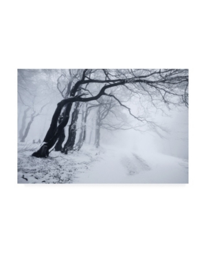 TRADEMARK GLOBAL DANIEL RERICHA IN THE WINTER FOREST CANVAS ART