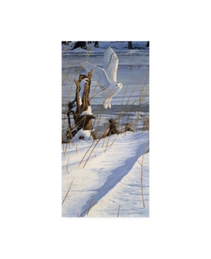 TRADEMARK GLOBAL MICHAEL BUDDEN GREAT WHITE HUNTER CANVAS ART