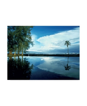 Trademark Global Monte Nagler Palm Tree Alone Big Island Hawaii Canvas Art In Multi