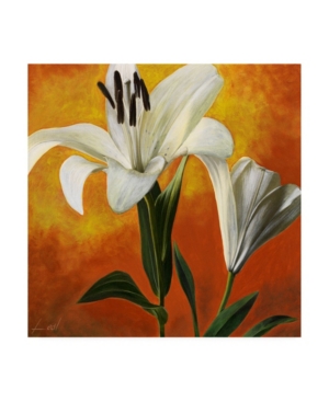 Trademark Global Pablo Esteban White Flower Over Orange Light 1 Canvas Art In Multi