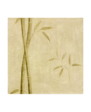 Trademark Global Pablo Esteban Bamboo Beige Texture 1 Canvas Art In Multi