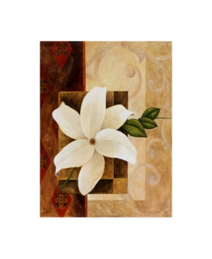 Trademark Global Pablo Esteban White Floral Beige 2 Canvas Art In Multi