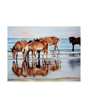 Trademark Global Patrick Sullivan Horses On Beach Canvas Art In Multi