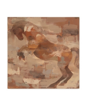 Trademark Global Albena Hristova Wild And Free Horse Canvas Art In Multi