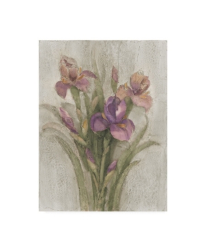 Trademark Global Albena Hristova Purple Iris Garden On Grey Canvas Art In Multi