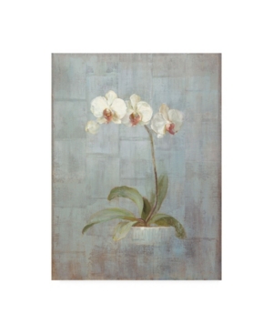 Trademark Global Danhui Nai Elegant Orchid Ii Canvas Art In Multi
