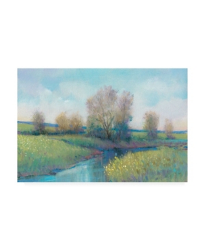 Trademark Global Tim Otoole Hidden Stream I Canvas Art In Multi