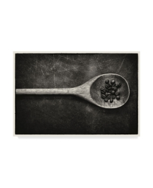 Claude Laramee Wooden Spoon Canvas Art - 20
