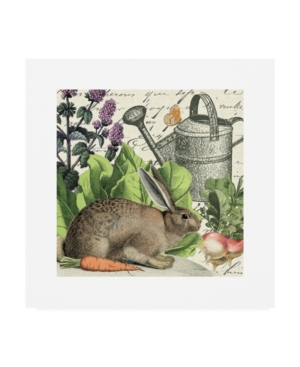 Wild Apple Portfolio Garden Rabbit I Canvas Art - 15