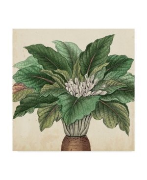 Vision Studio Garden Bounty V Canvas Art - 15