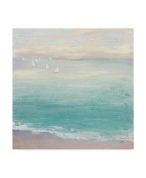 Trademark Global Julia Purinton From The Shore Canvas Art In Multi