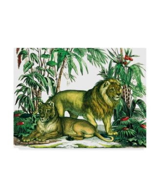 Trademark Global Wild Apple Portfolio Jungle Flair VI Canvas Art - 15" x 20"