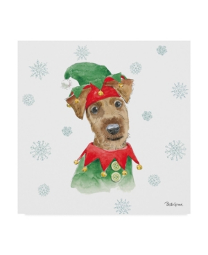 Beth Grove Holiday Paws Vii Canvas Art - 15