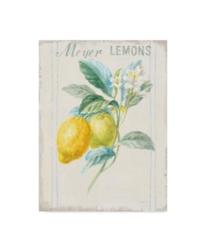 Trademark Global Danhui Nai Floursack Lemon Ii V2 Canvas Art In Multi