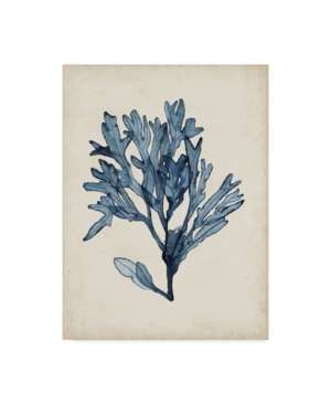 Trademark Global Naomi Mccavitt Seaweed Specimens Ii Canvas Art In Multi