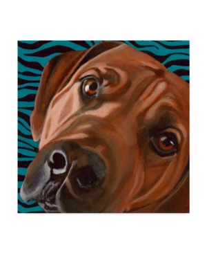 Trademark Global Dlynn Roll Dlynns Dogs Bunsen Canvas Art In Multi