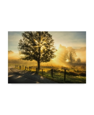 Trademark Global Danny Head Wake Up Call Country Road Canvas Art In Multi