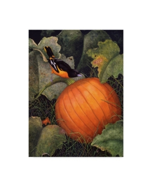 Trademark Global Marcia Matcham Oriole And Pumpkin Canvas Art In Multi