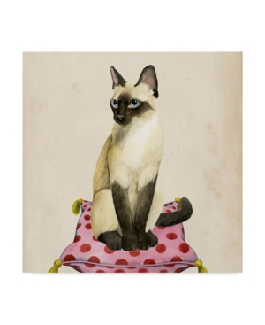 Trademark Global Grace Popp Lady Cat Ii Canvas Art In Multi
