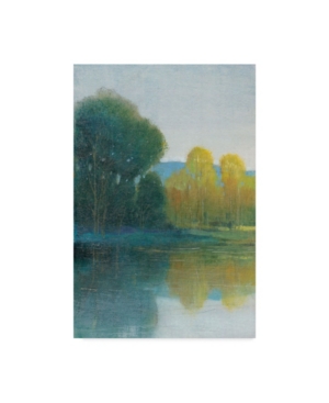 Trademark Global Tim Otoole Last Light I Canvas Art In Multi