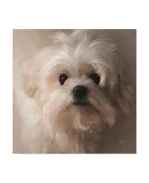 Trademark Global Lois Bryan Maltese Puppy Portrait Canvas Art In Multi
