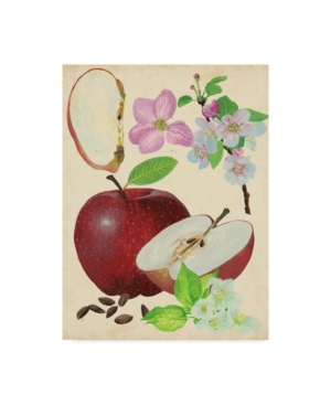 Trademark Global Melissa Wang Apple And Blossom Study I Canvas Art In Multi