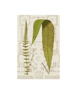 Vision Studio Garden Ferns Iii Canvas Art - 20