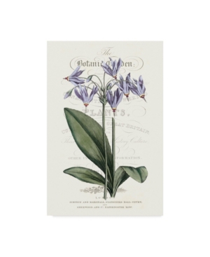 Vision Studio Flower Garden Varietals I Canvas Art - 20